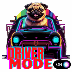 Dominik Sieński - Home